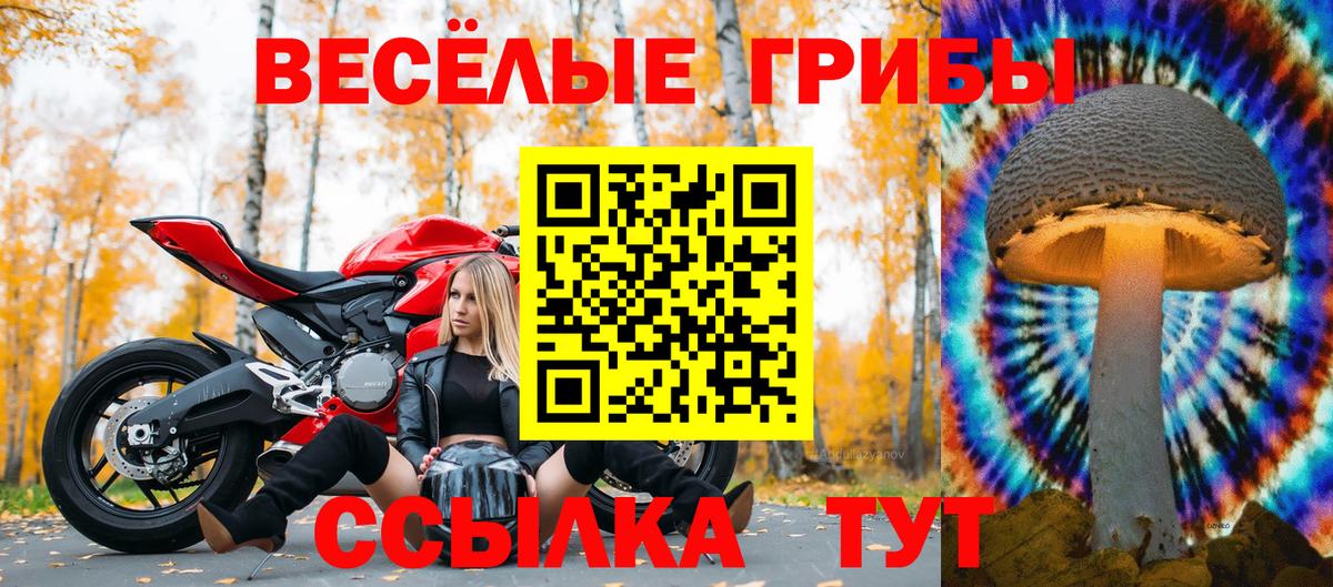 Галлюциногенные грибы Psilocybe  даркнет сайт  Ипатово  Вход с VPN 